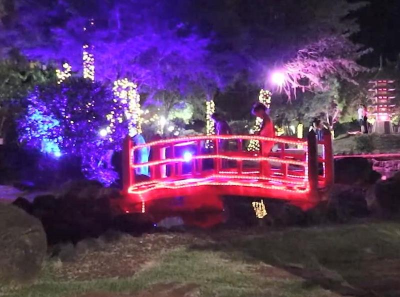 Totalmente iluminado, Jardim das Cerejeiras se transforma em cartão postal natalino de Paraguaçu