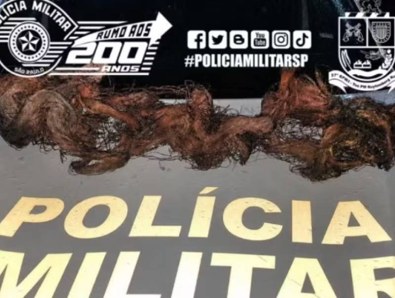 Homem é preso com mais de 10 kg de cobre furtado de cabos de telefonia em Jaú