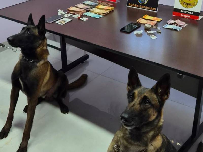 Policias Civil e Militar deflagram Operação Nexo ação de combate ao tráfico de drogas em Tarumã