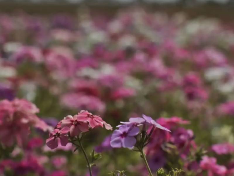 Primavera começa com chegada de frente fria, temporais e fortes ventos