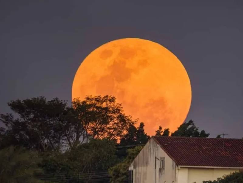 Lua Cheia Rosa: saiba como vê-la nesta terça-feira