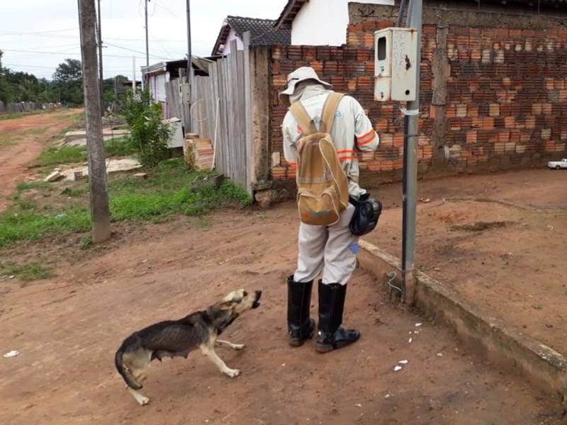 Leituristas da Energisa registram 17,9 mil alertas de cães na região