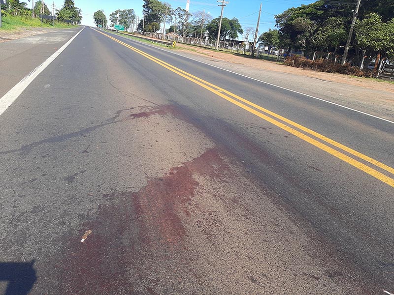 Homem de 57 anos morre atropelado ao cruzar a rodovia, em Paraguaçu Paulista