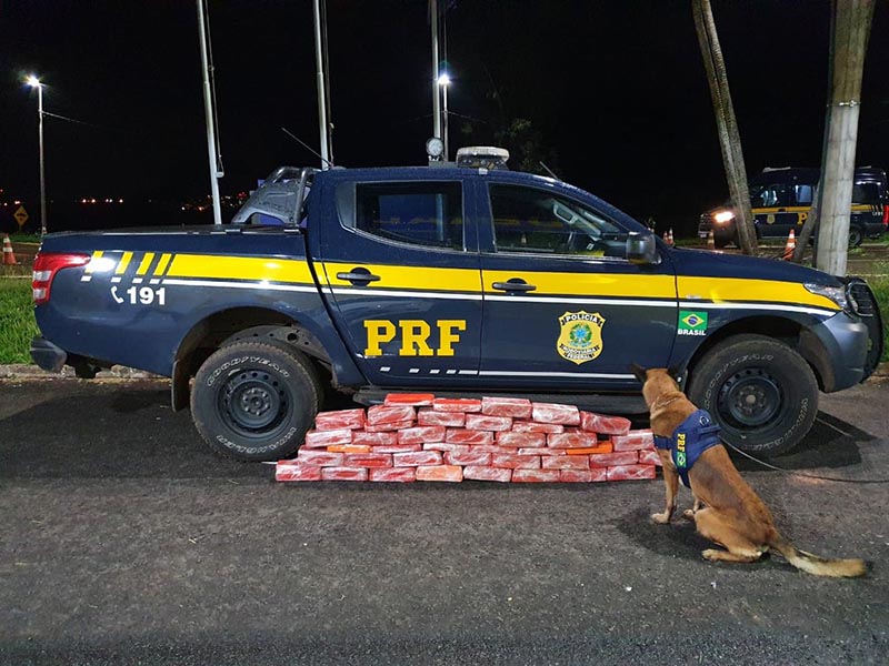 Polícia Rodoviária Federal apreende mais de 60 kg de maconha dentro de ônibus em Ourinhos