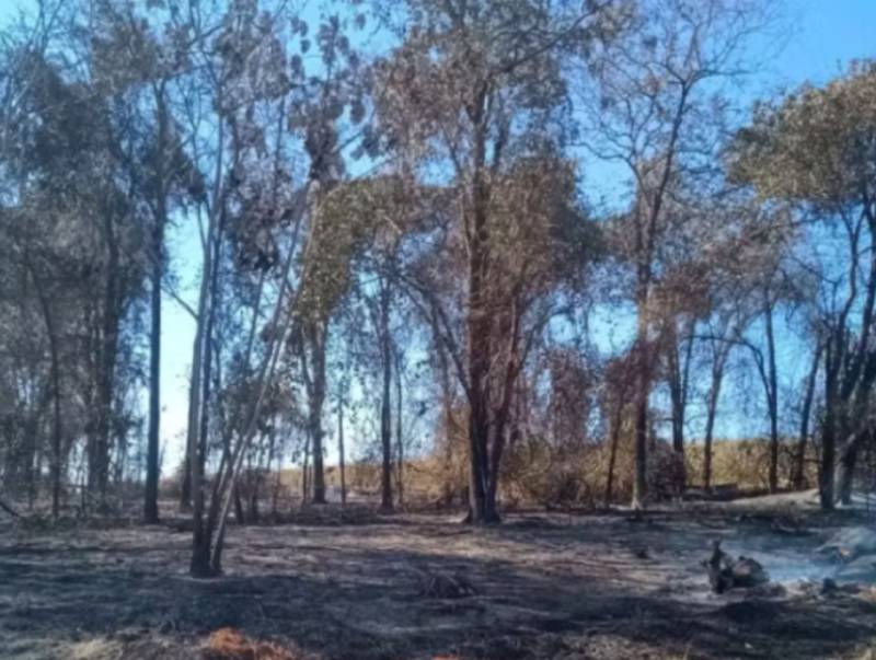 Polícia Ambiental identifica queimada de 110 hectares e aplica multa de mais de R$ 120 mil em Lins