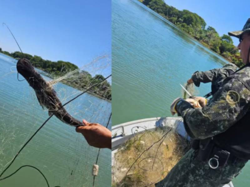 Polícia Ambiental flagra rede de 200 metros no Rio Paraná durante a Piracema em Presidente Epitácio