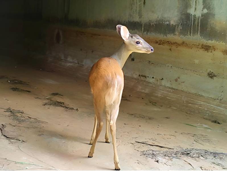Eixo SP leva educação ambiental a estudantes de Paraguaçu Paulista