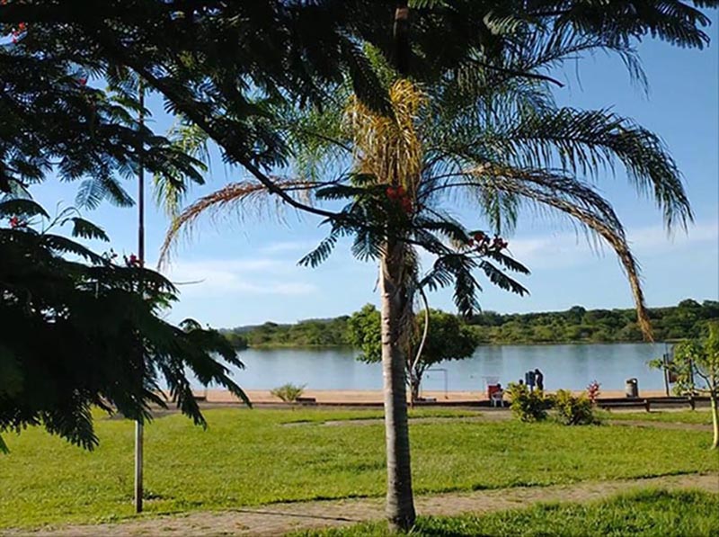Grande Lago e Jardim das Cerejeiras estarão fechados no feriado de 9 de julho