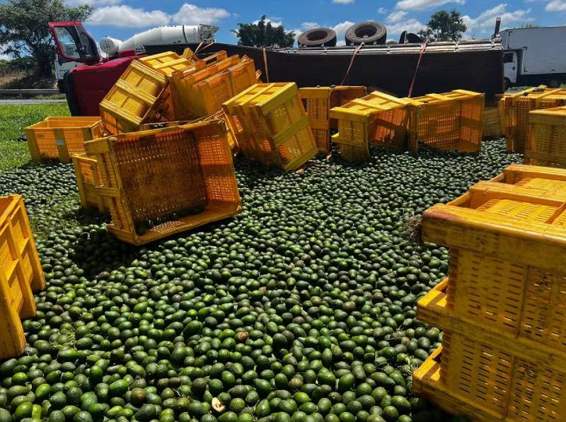 Caminhão com carga de abacates tomba em rodovia de Itápolis