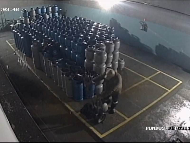 Ladrão invade depósito, furta botijões de gás, mas é flagrado pelo proprietário em Paraguaçu