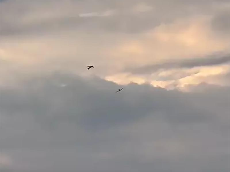 Em show de acrobacia, aviões se chocam e caem na Alemanha; pilotos morreram