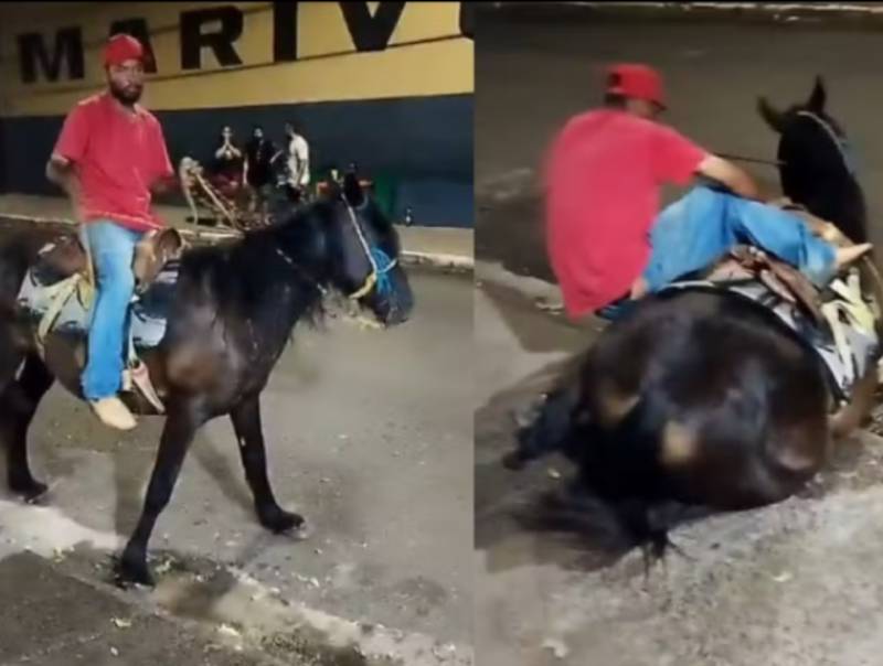 Cavalo exausto caindo mais de uma vez é forçado à montaria em Marilia