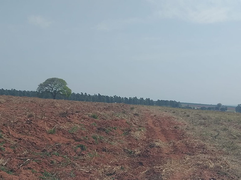 Fazendeiro leva multa de mais de R$ 33 mil por colocar fogo em vegetação, em Rancharia