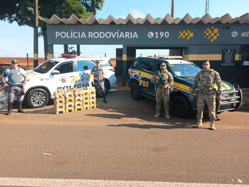 Polícia Rodoviária apreende cargas de maconha e skunk no interior de SP