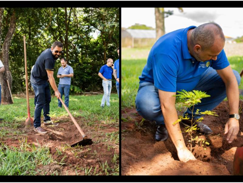 Rotary Club de Paraguaçu Paulista celebra o Dia do Rotariano com plantio de Pau-Brasil
