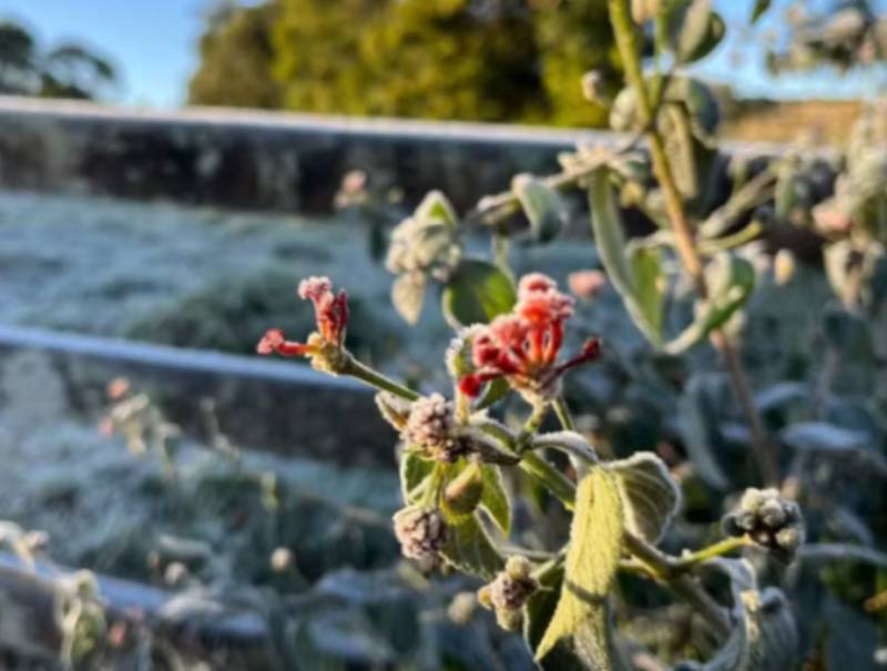 Inverno no interior de SP terá temperaturas acima da média e chuvas dentro do esperado, aponta Inmet