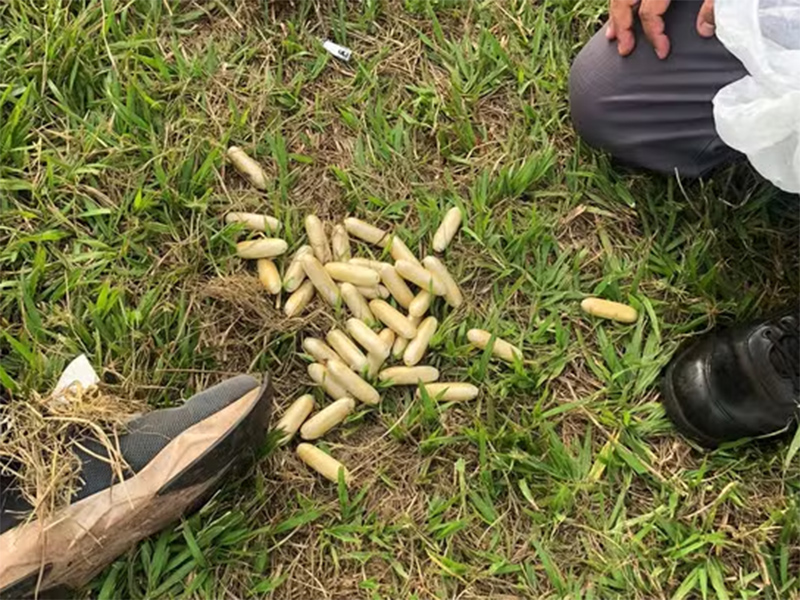 Oito bolivianos são presos por tráfico de drogas após ingerirem cápsulas de cocaína em Maracaí