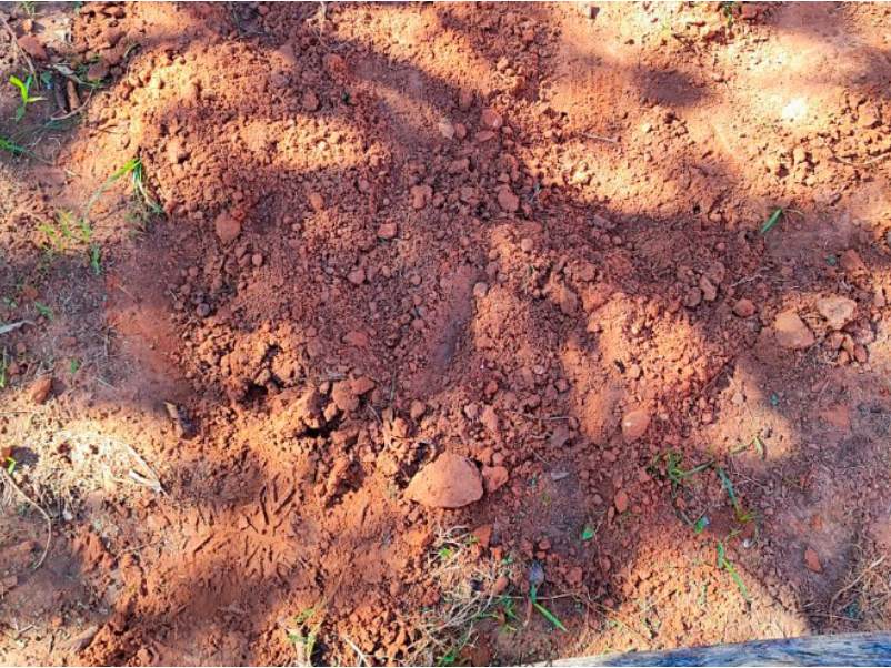 Investigação de suposto aborto termina com prisão de casal por queimar bebê em quintal