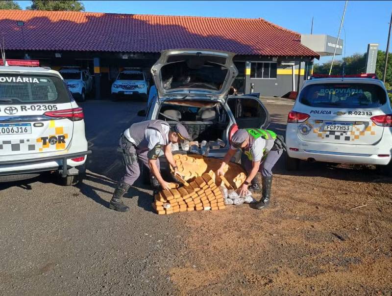 Motorista é flagrado com 50 quilos de maconha e outras drogas em Assis