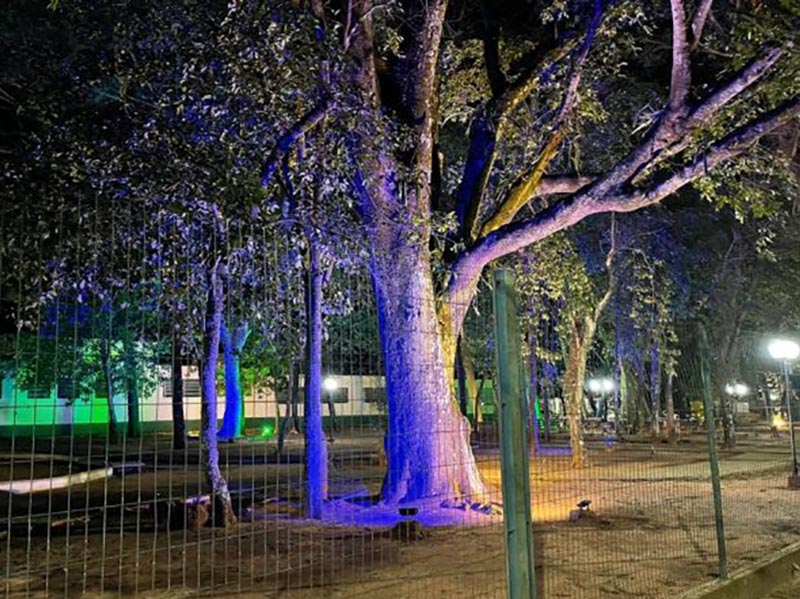 Prefeitura entrega nova iluminação ao 'Bosque da Galdino'